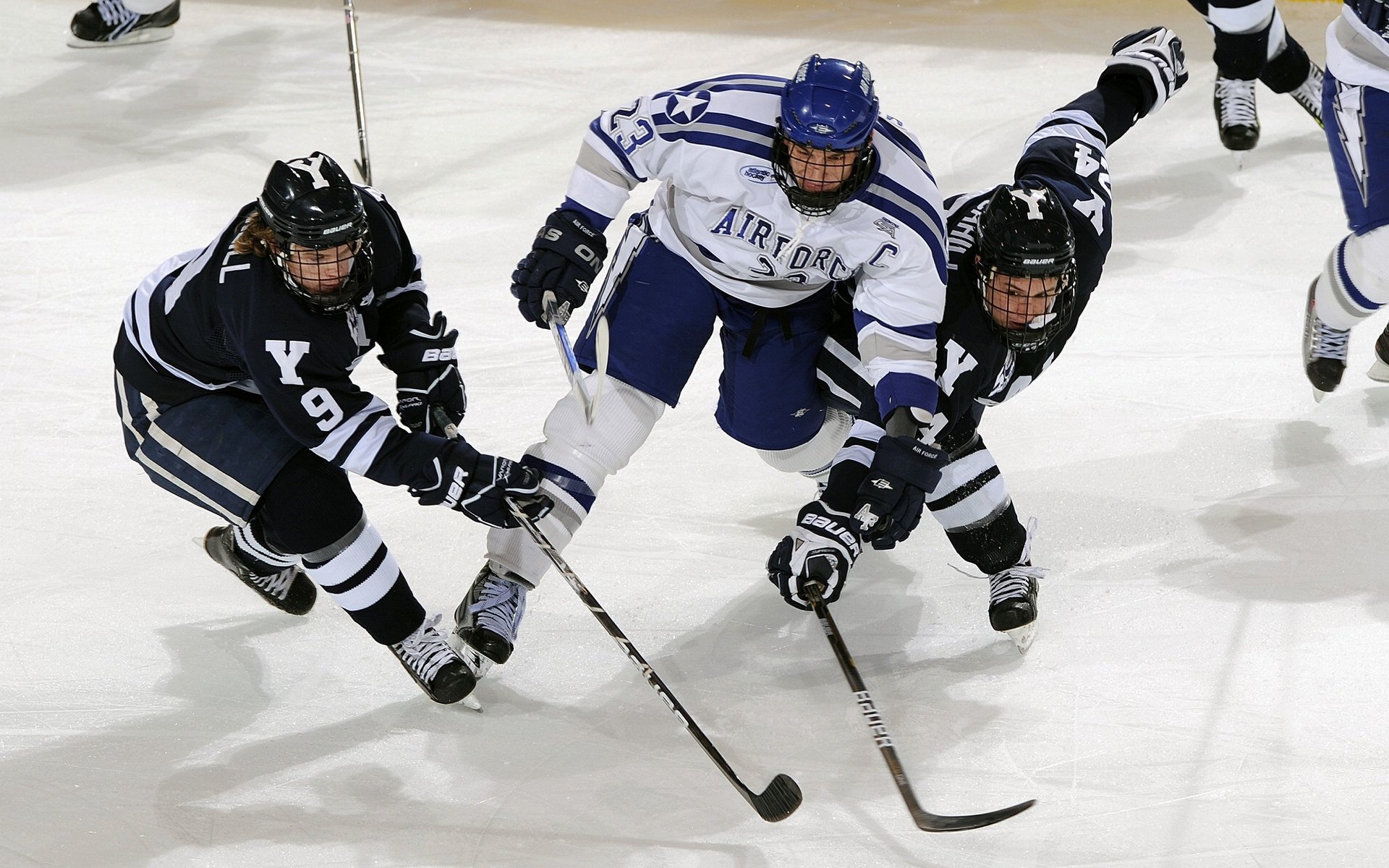 【年轻新星】未来之星如何快速崛起？青训案例分享，未来之星第四期